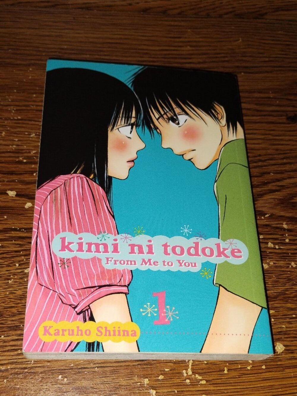 Kimi Ni Todoke Vol. 1 Manga in English by Karuho Shiina (Viz Media)